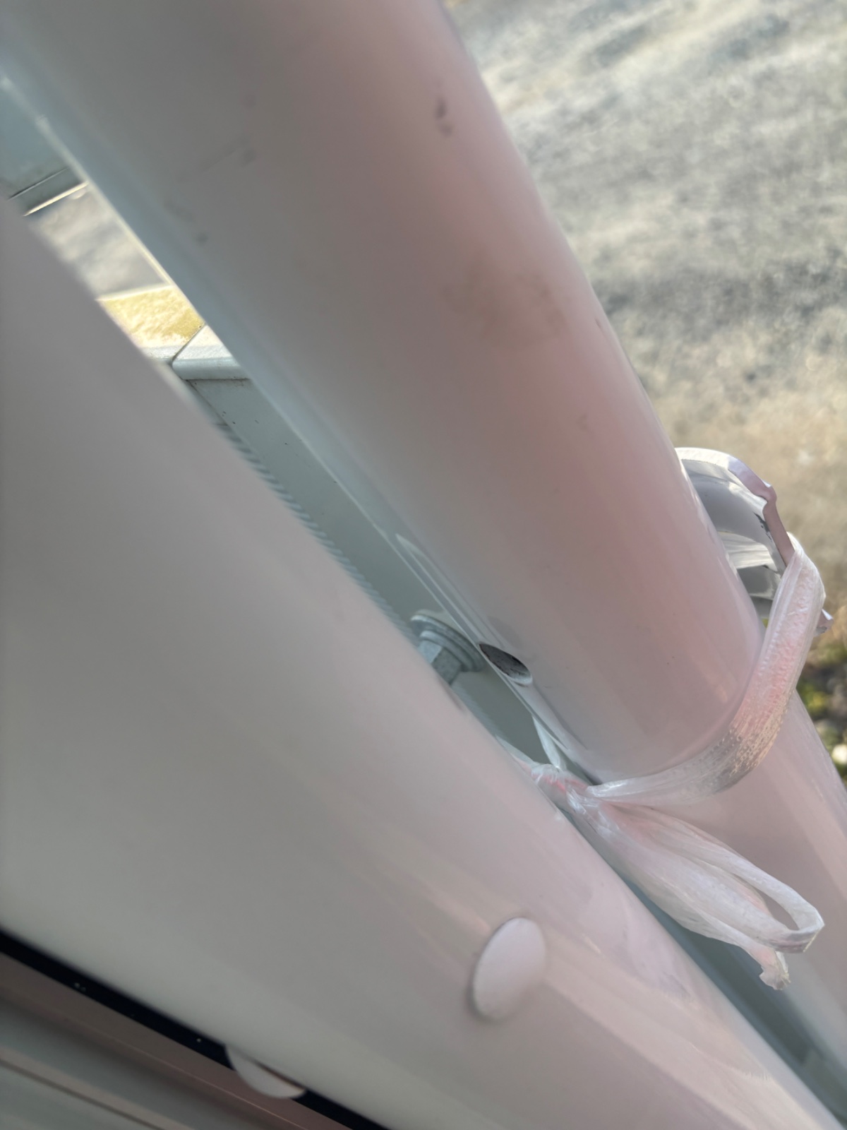 古川フェンス調査 11