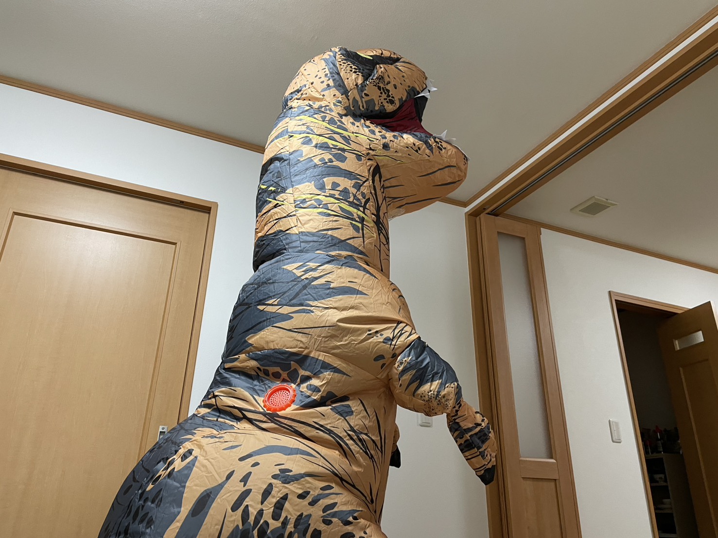 陸前高田出張のひとコマ。ティラノサウルスレースに向けて準備中です